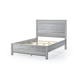 Standard Baja Bed / 3 Size Options / 4 Color Options