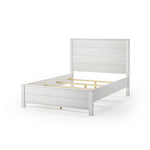 Standard Baja Bed / 3 Size Options / 4 Color Options