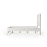 Standard Baja Bed / 3 Size Options / 4 Color Options