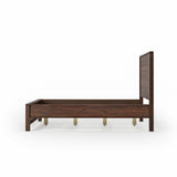 Standard Baja Bed / 3 Size Options / 4 Color Options
