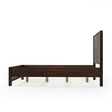Standard Baja Bed / 3 Size Options / 4 Color Options