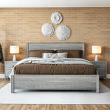 Standard Baja Bed / 3 Size Options / 4 Color Options